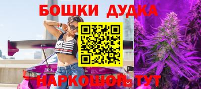 прущие грибы Можга