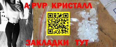прущие грибы Можга