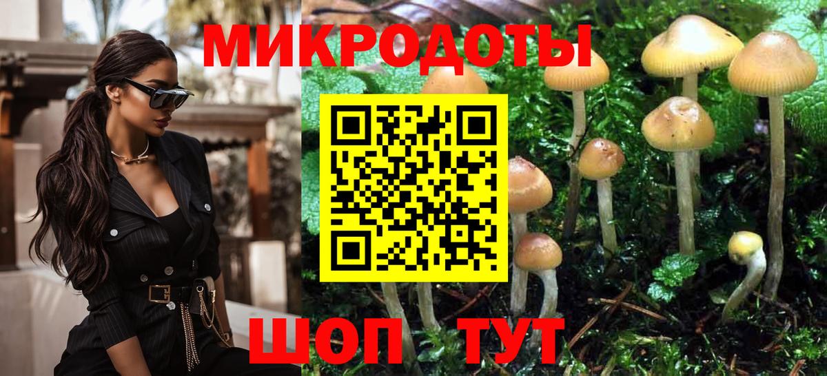Галлюциногенные грибы GOLDEN TEACHER  Галлюциногенные грибы Psilocybine cubensis  Вход с VPN  Черняховск 